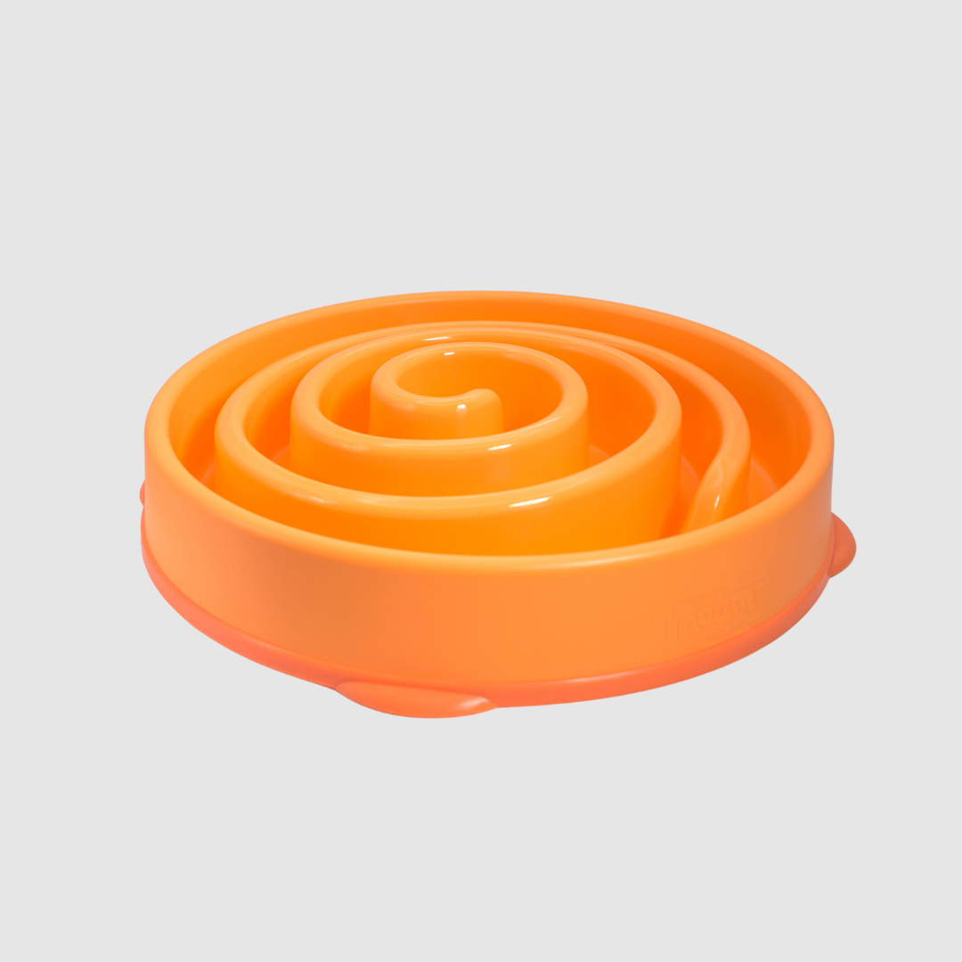 Fun Feeder Slow Bowl