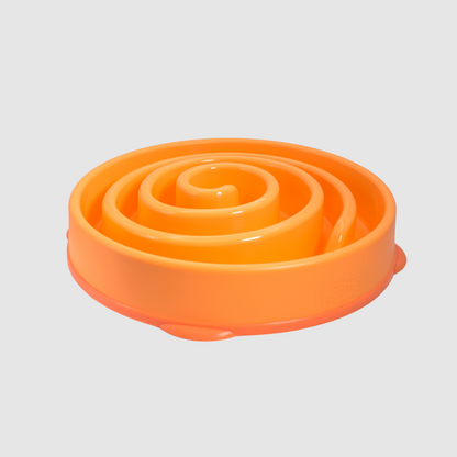 Fun Feeder Slow Bowl
