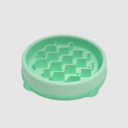 Fun Feeder Slow Bowl