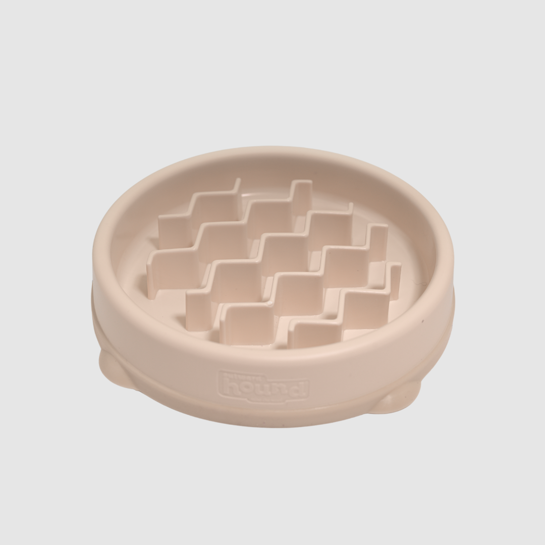 Fun Feeder Slow Bowl