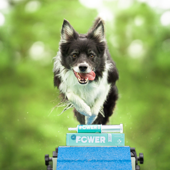 Power